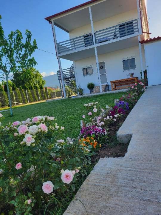 Countryside Apartments First Floor Tríkala Exterior foto
